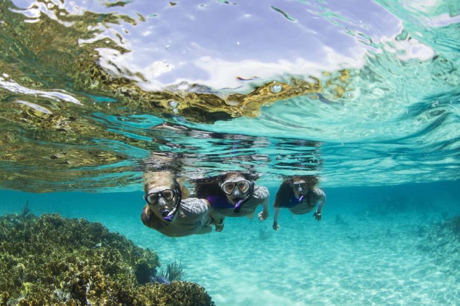 Turtle Beach Private Trip