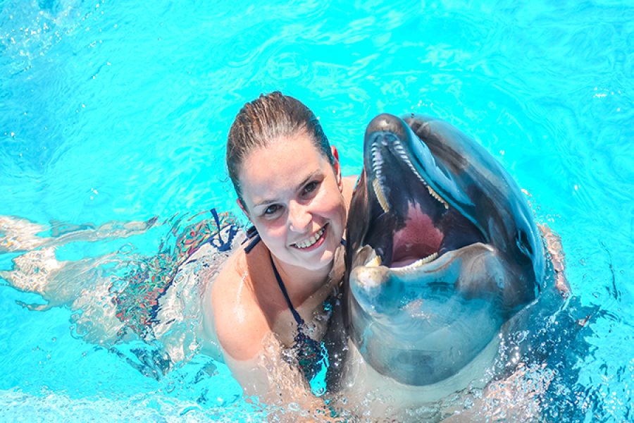 Swimming with dolphins ( 5 minutes )