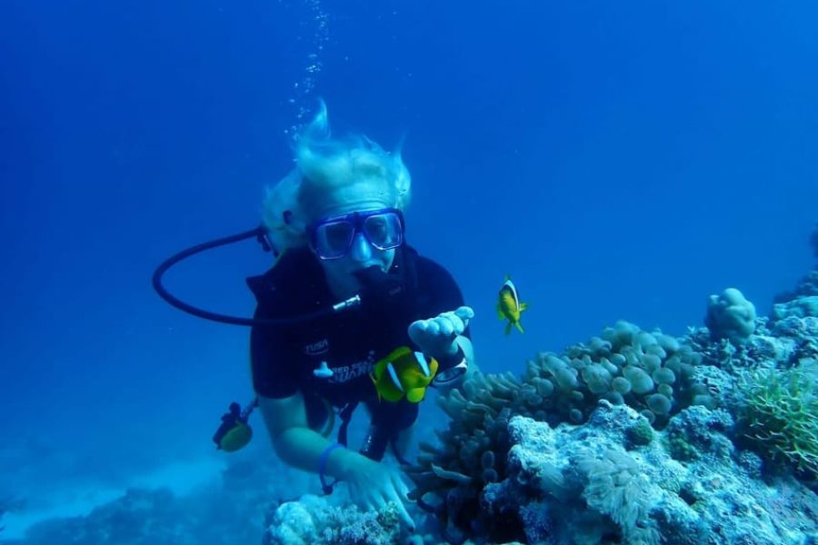 Intro Diving