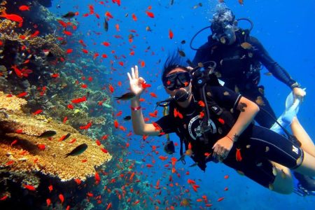 Professional diving