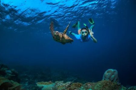 Turtle Beach Trip Group
