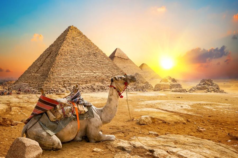 Cairo tour – by flight ( Old Museum )