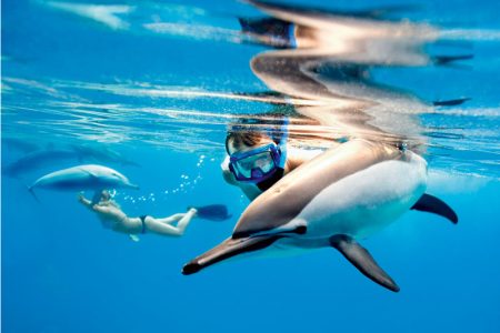 Dolphin House trip